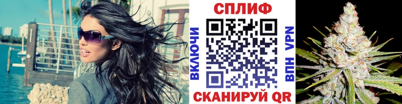 Где найти наркотики Кола МЕТАМФЕТАМИН  Псилоцибиновые грибы  Меф  Каннабис 
