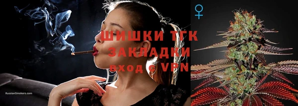 PSILOCYBIN Беломорск