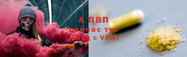 PSILOCYBIN Беломорск