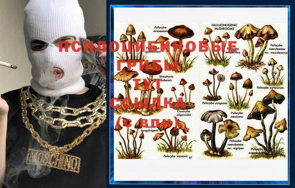 мяу мяу мука Белоозёрский