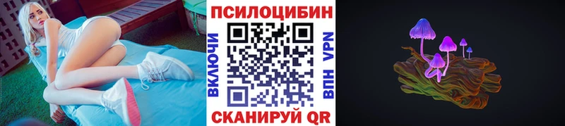 Псилоцибиновые грибы GOLDEN TEACHER  MEGA зеркало  Кола 